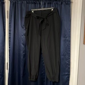 The Limited Jogger styler Dress Pants